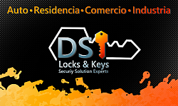 DSI LOCKS & KEYS (787) 600-4959